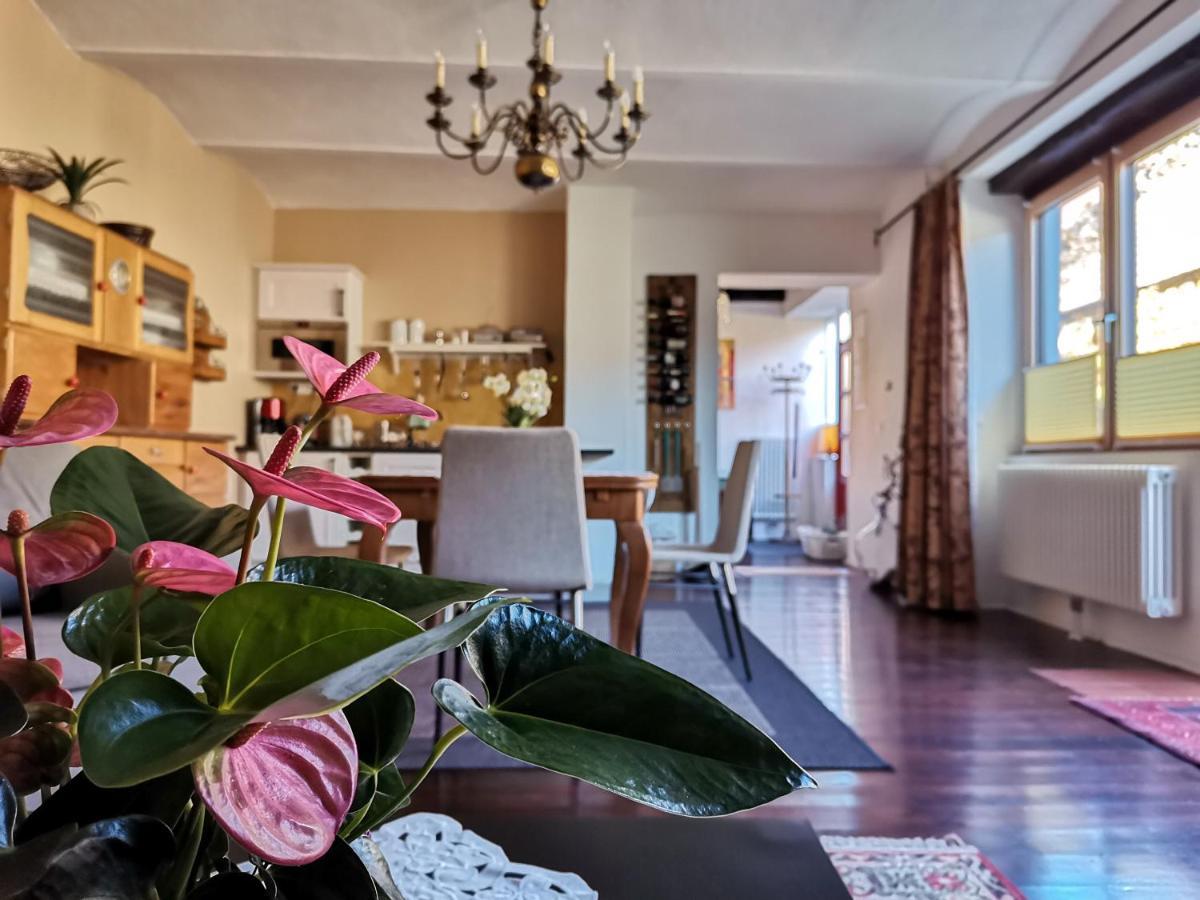 Gaestehaus Doris Purbach am Neusiedlersee Exteriér fotografie